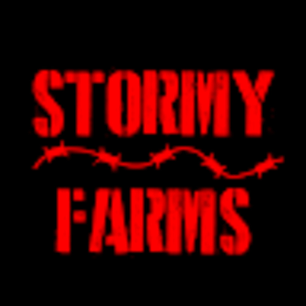 Meet your Posher, Joanie